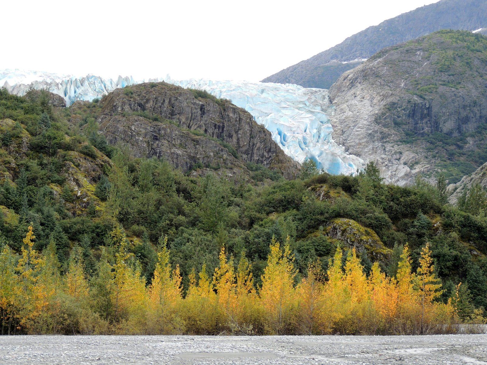 Exploring the Majestic Tongass National Forest: A Paradise for Nature Enthusiasts and Adventure Seekers