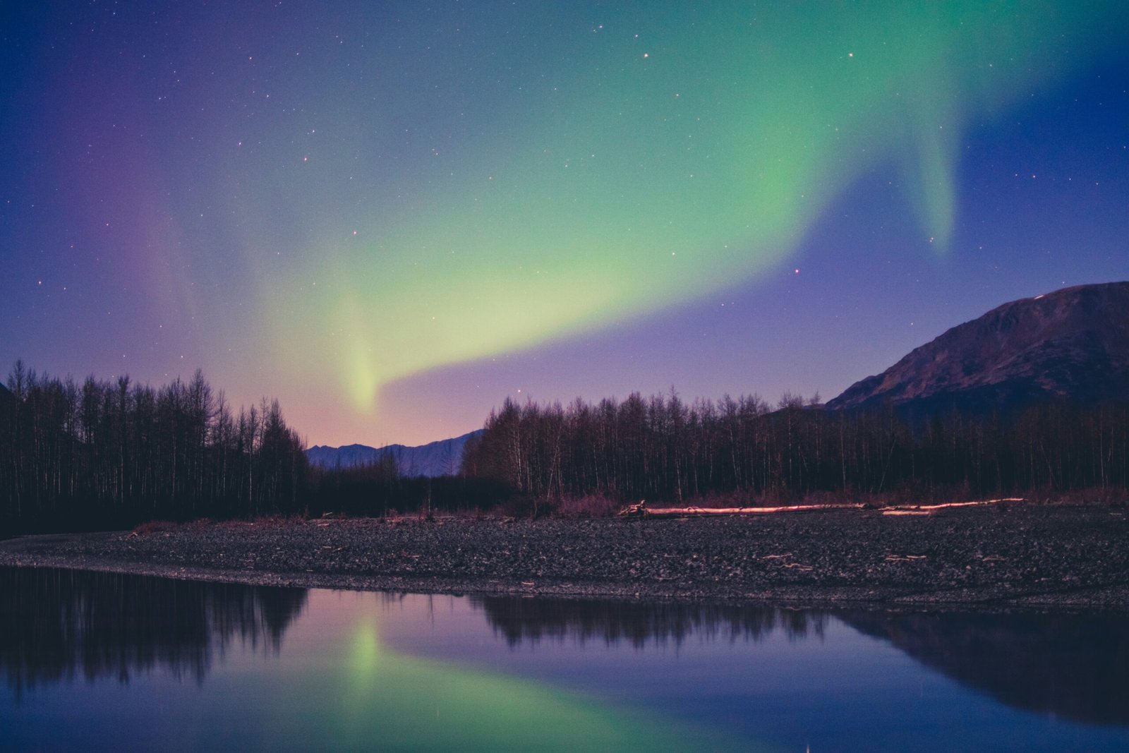 Welcome to the Anchorage Museum: Immerse Yourself in Alaskan Art, History, and Science