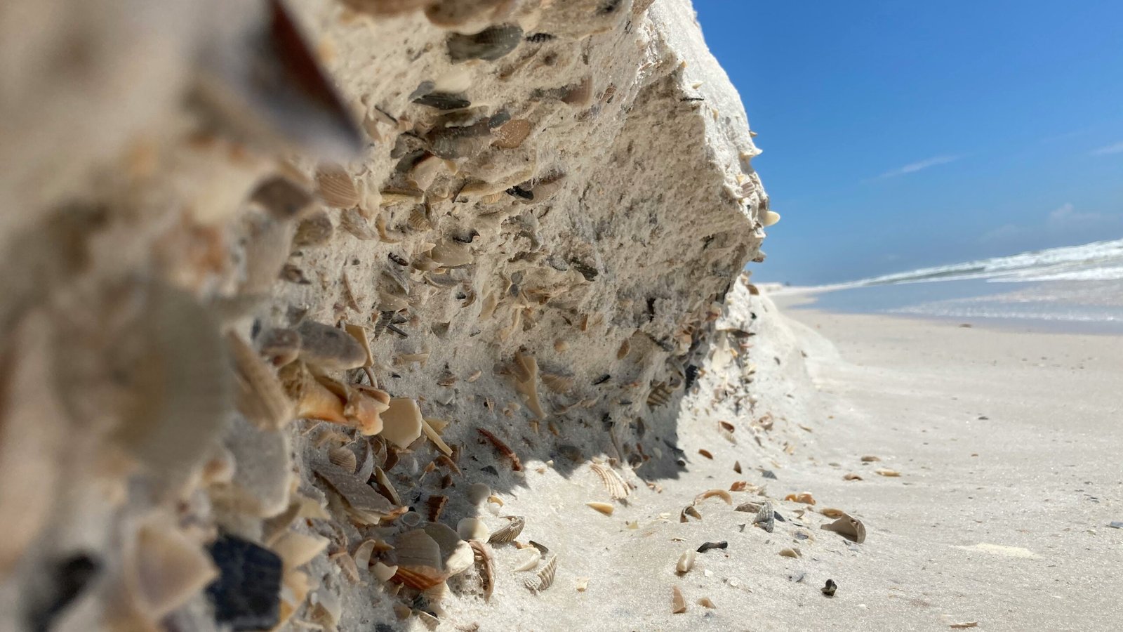 Discover the Natural Beauty of Gulf State Park